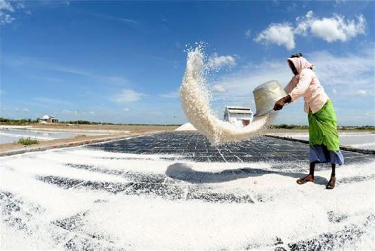Which city is known as the salt capital of India?