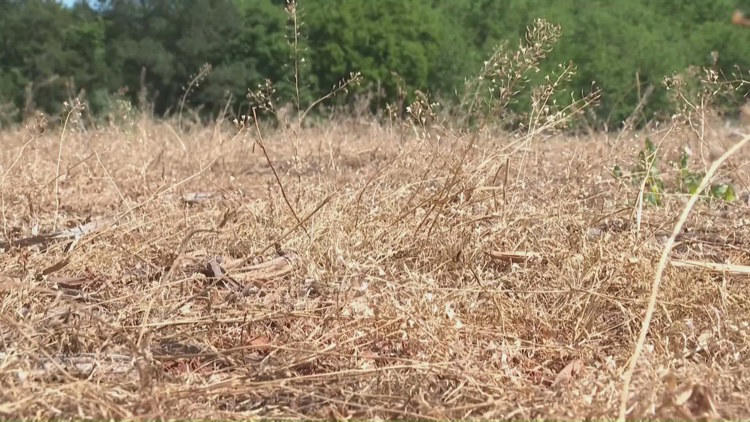 Firefighters warn everyday yard work could spark fires during Triad drought