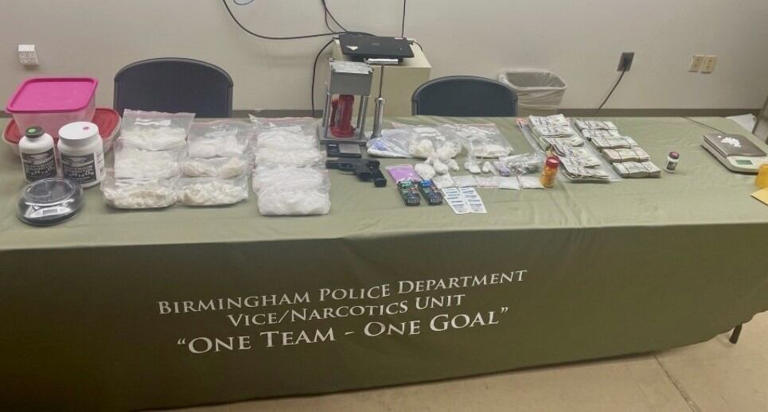 9 pounds of meth, $32,500 cash seized in Birmingham drug bust; woman ...