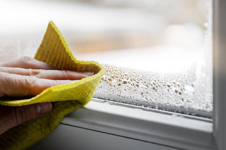 What to do if you notice condensation forming on windows every morning