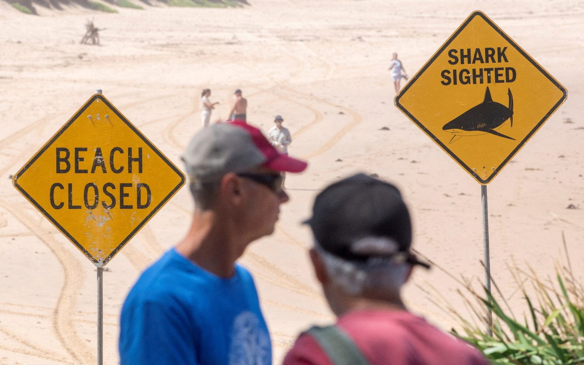 Australia has the world's highest number of fatal shark attacks