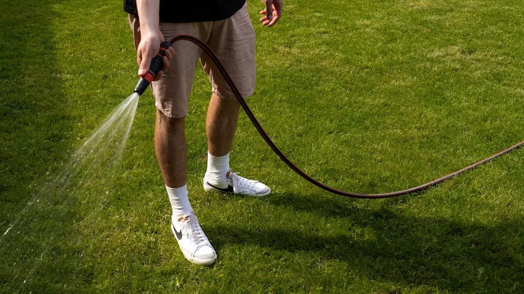 How much rainfall you actually need for a healthy lawn, based on recent ...