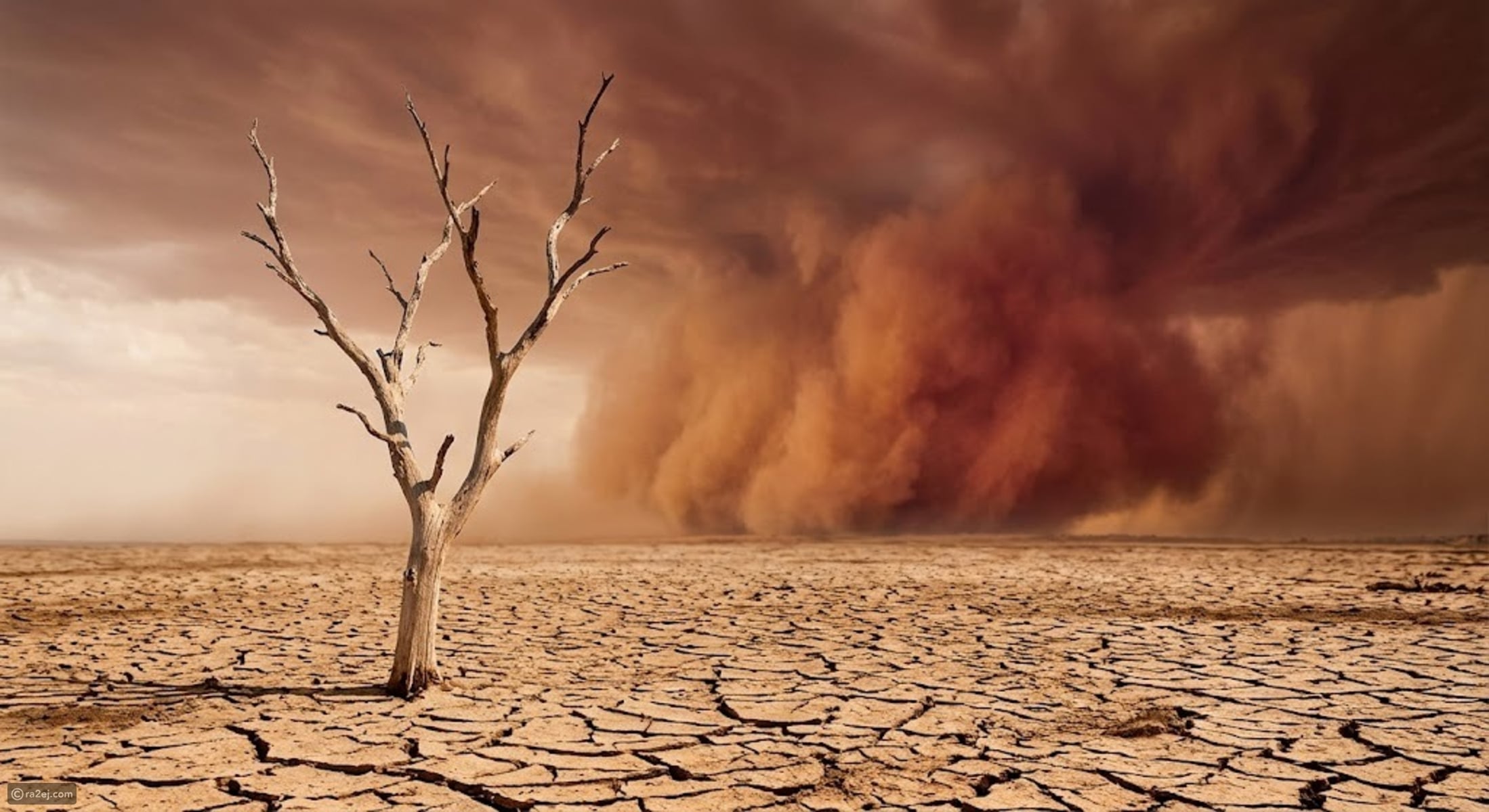 Earth has crossed a dangerous climate threshold — scientists warn