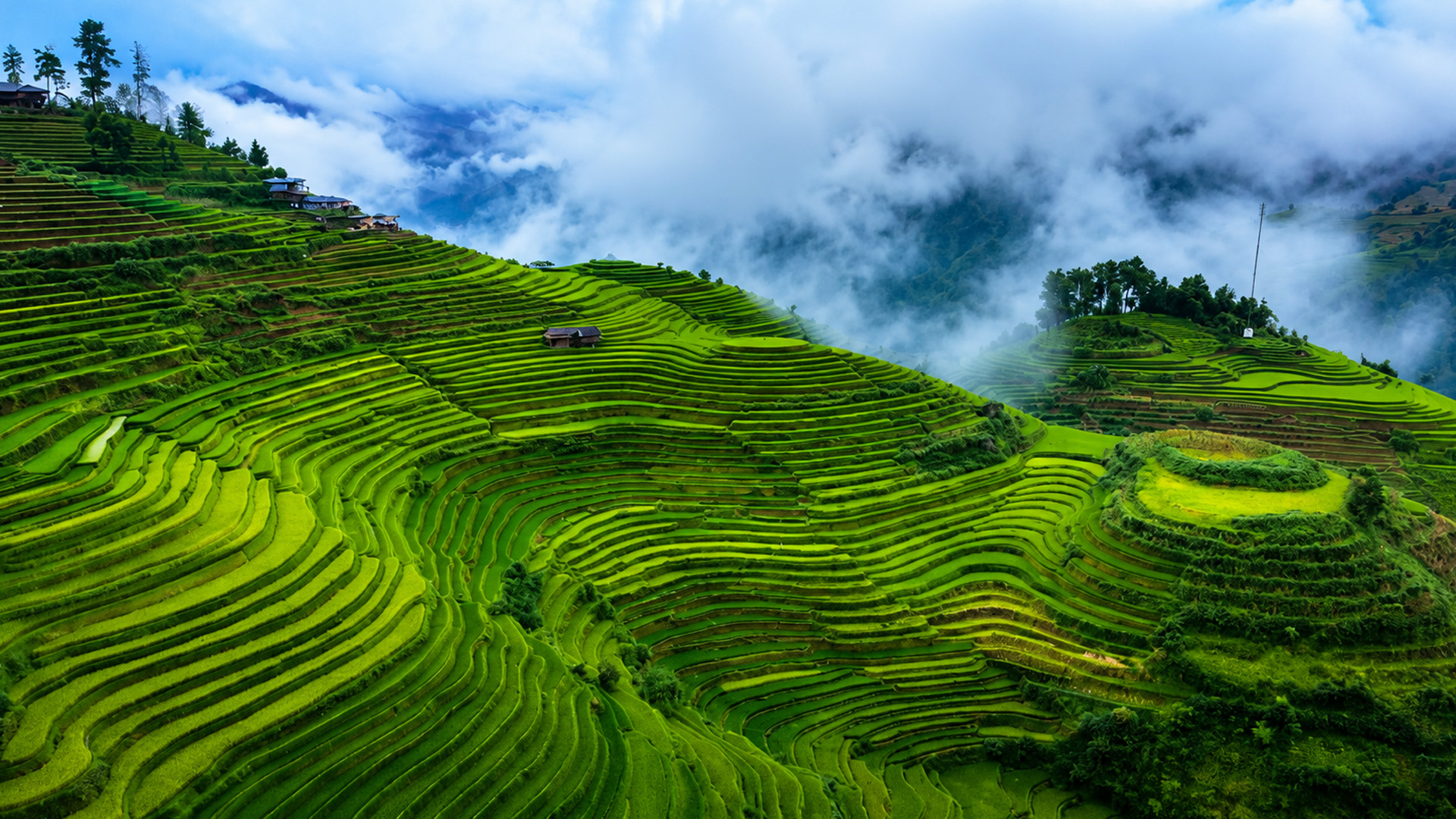 A landscape shaped by generations of farmers