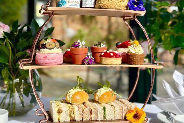Garden centre launches £25.95 afternoon tea to celebrate Chelsea Flower ...