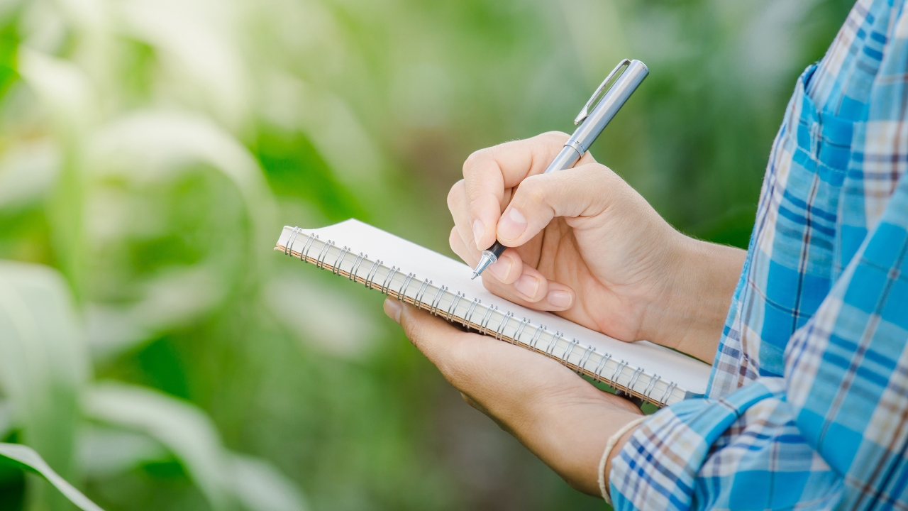 9 habits that make homesteading less overwhelming