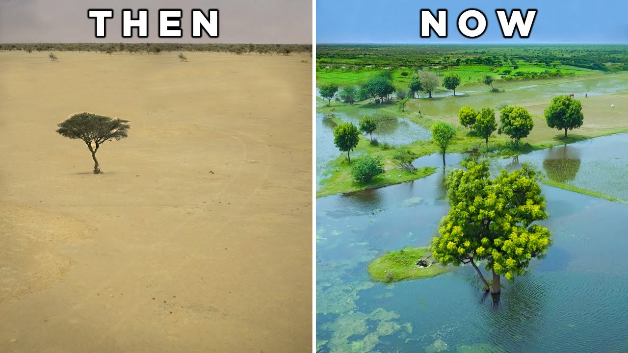 I explored the miracle of water harvesting
