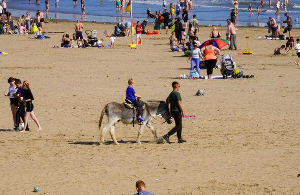 Donkey rides at UK seaside resort banned after 100 years of operation