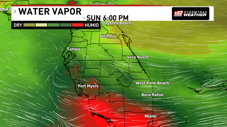 Scattered storms increase this weekend as heat and humidity build