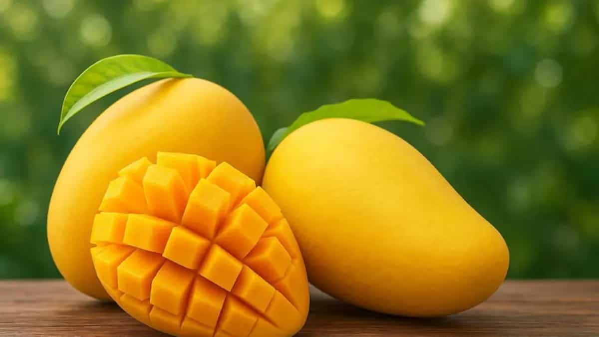 From Dasheri to Chausa: UP mango varieties with GI tag