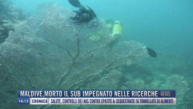 Breaking news delle 14.00 | Maldive, morto il sub impegnato nelle ricerche