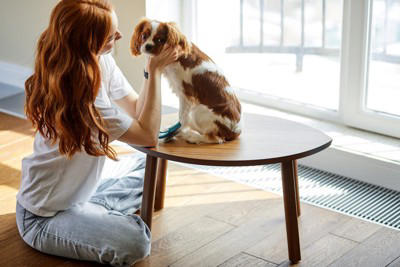 『ストレスを感じやすい犬』の共通点4選 繊細な性格をしているワンコの特徴とは？