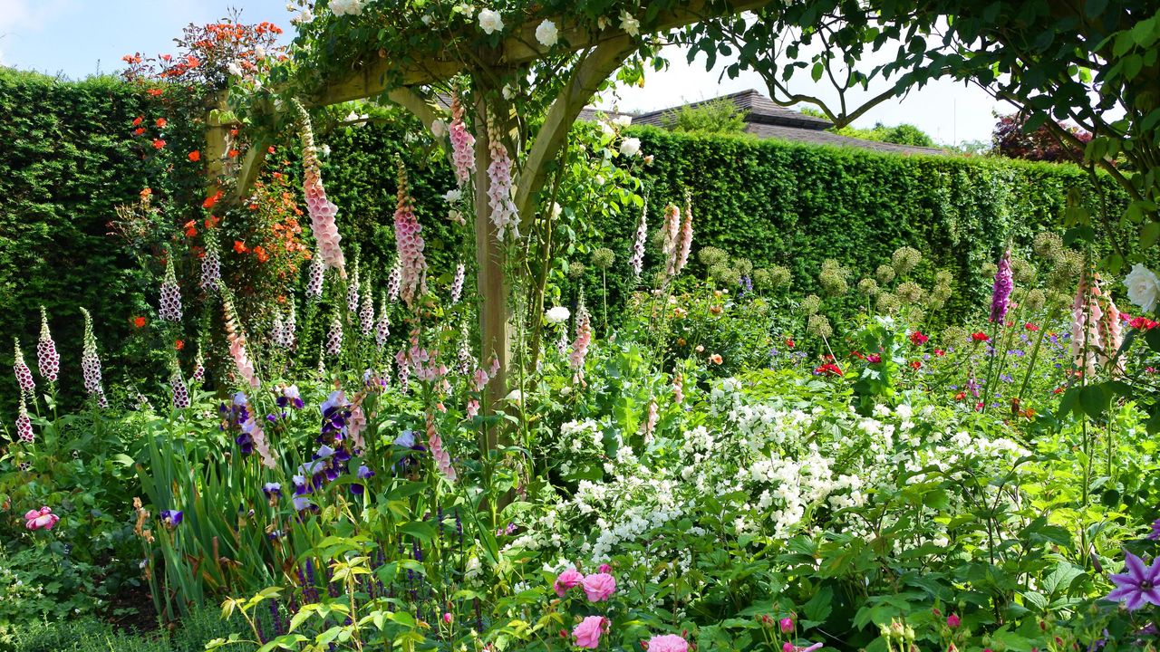 5 genius ways to use orange peel in your garden for natural pest control and healthier plants