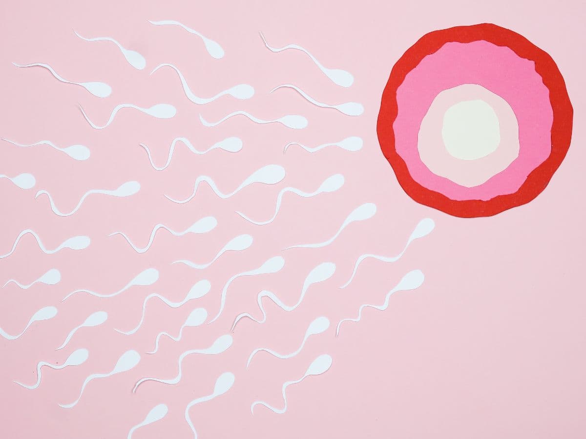 PCOS is now PMOS: 5 common misconceptions about the condition