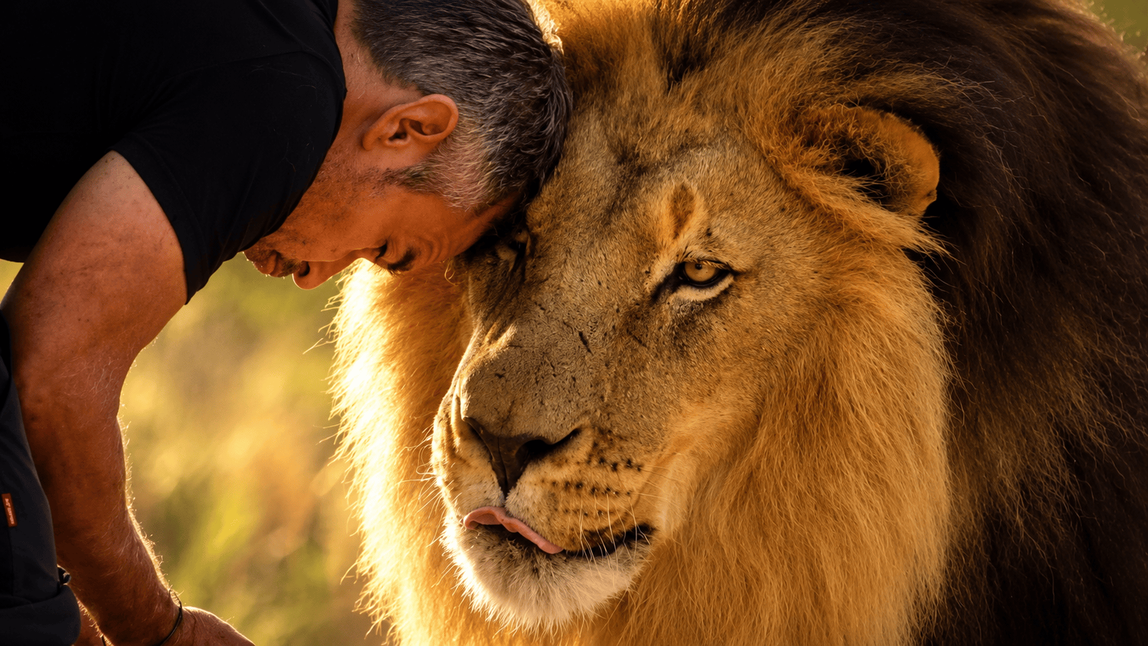 If this were the last lion on Earth