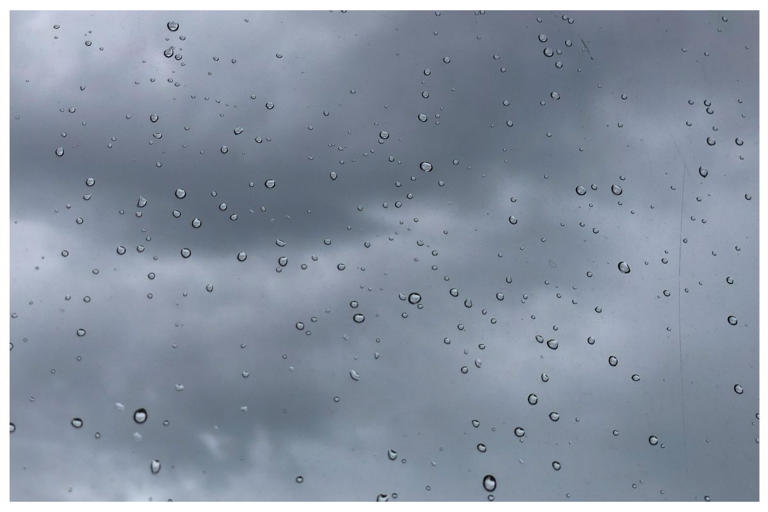Weather: Partly cloudy with isolated showers expected