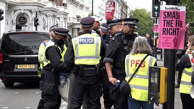 Police make arrest at pro-Palestine rally