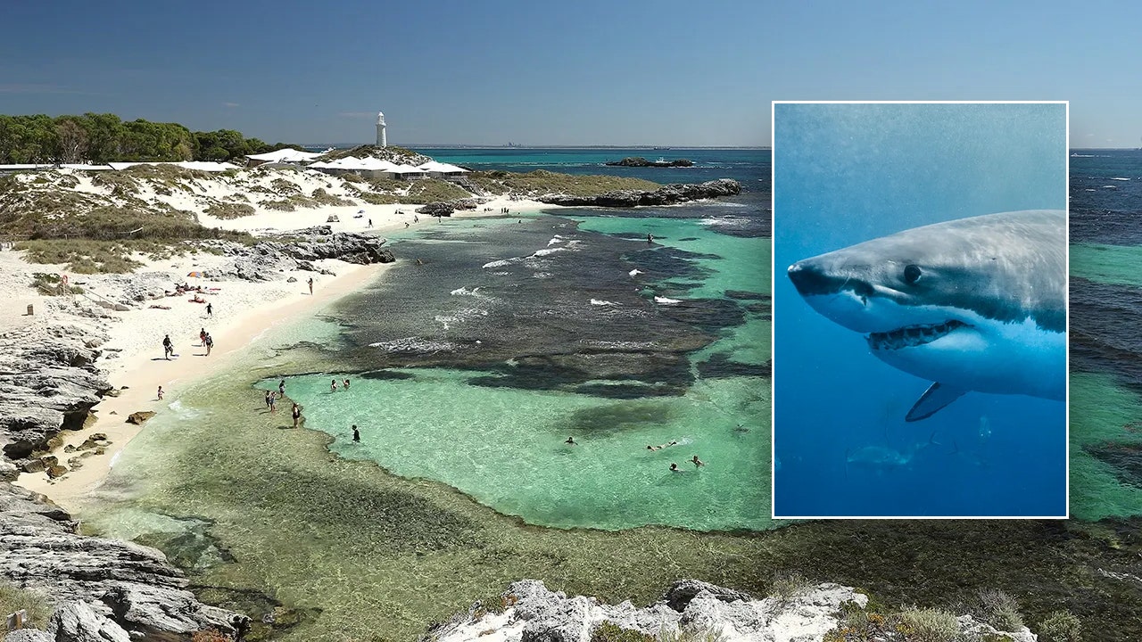 Authorities say a great white shark attacked a man off Rottnest Island, a popular tourist spot on Australia’s western coast.