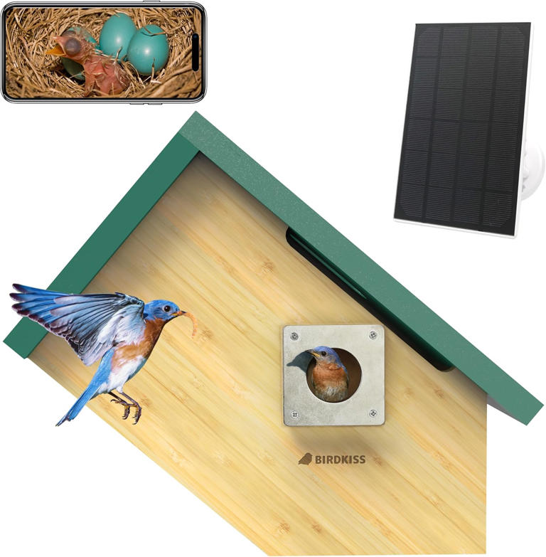 Birdfy Nest Duo review: This two-camera smart bird box is a marvel for ...