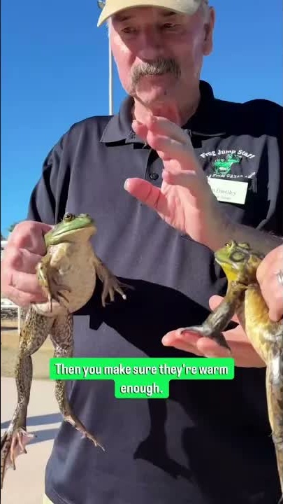 The 133rd Calaveras County Fair and Jumping Frog Jubilee is on now ...