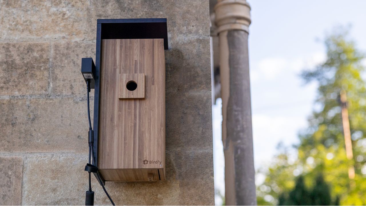 Birdfy Nest Duo review: This two-camera smart bird box is a marvel for ...