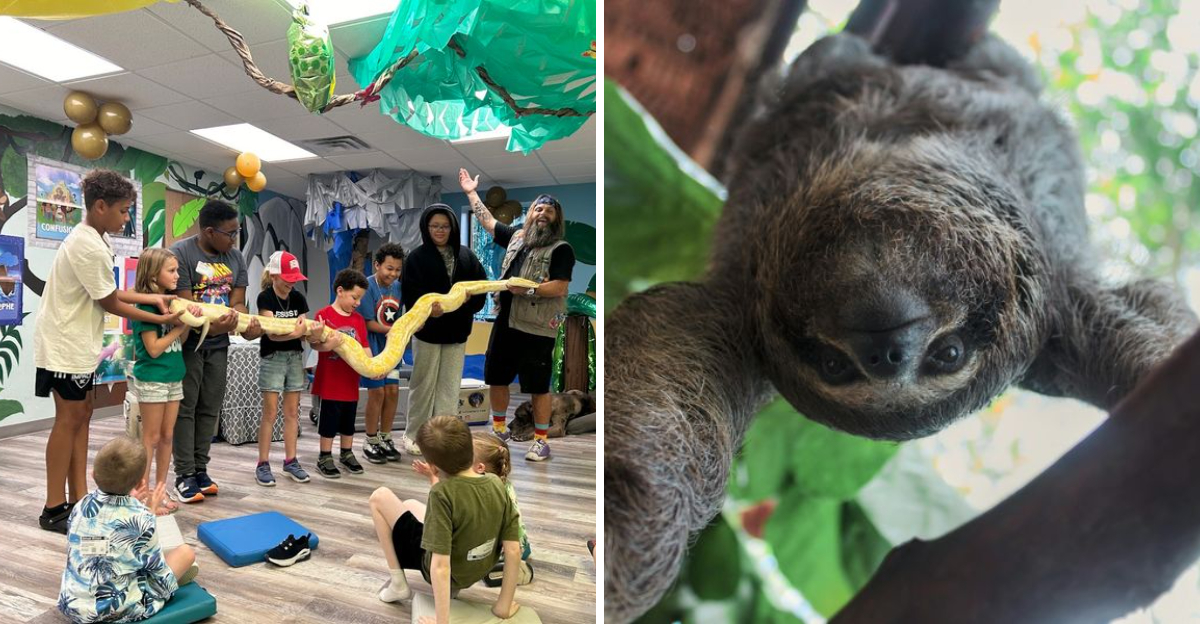 Book a private sloth & kangaroo encounter with this legendary Indiana crew