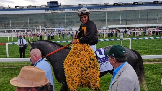 Napoleon Solo: 10 interesting facts about Preakness winner - from ...