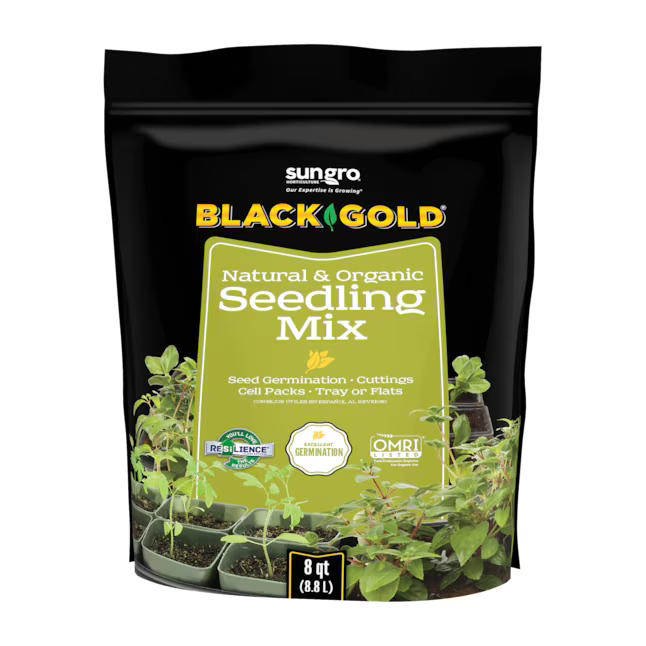 If your seedlings look pale and won't grow, they're probably root-bound ...