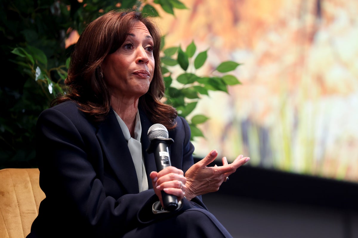 Harris Demands SCOTUS Expansion to Stop 'Red State Cheating'