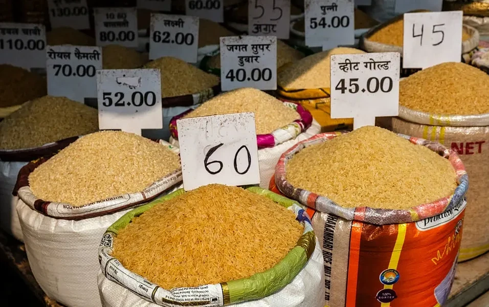 Master the art of perfect rice every time