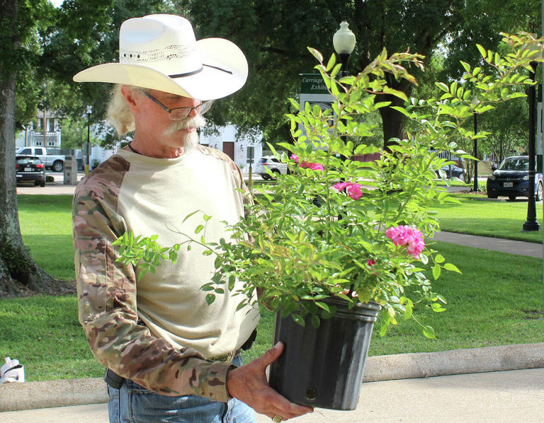 Preserving history, one rose petal at a time