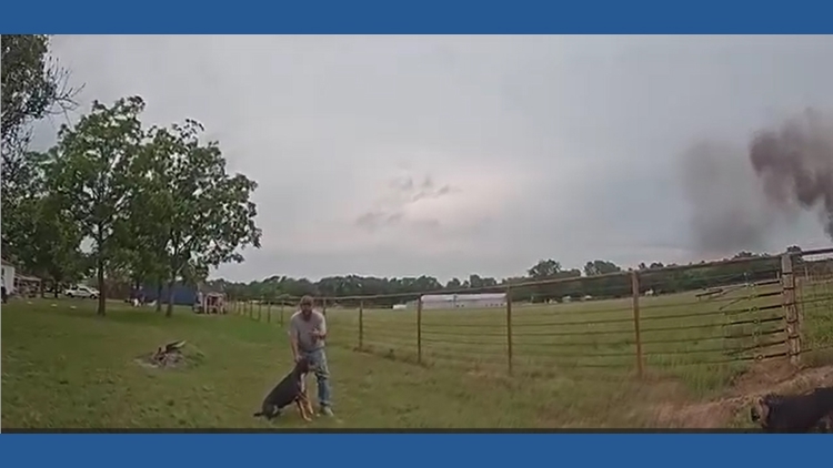 Arp police officer shoots dog while investigating possible fire, chief says