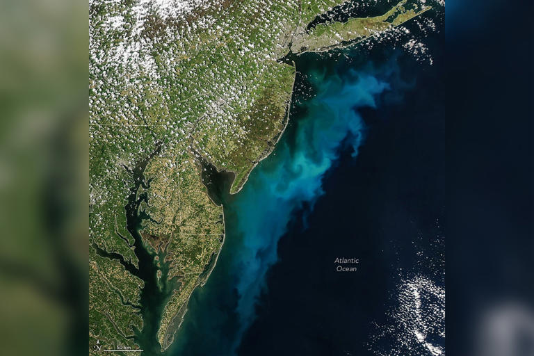 NASA satellite images show huge colored plumes staining the ocean