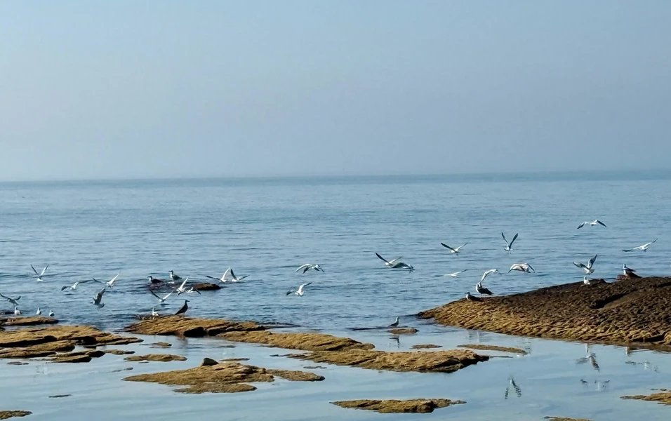 Caspian Sea's shrinking waters imperil ecosystems and communities
