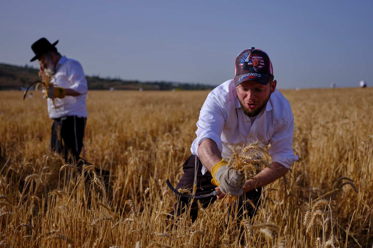 China offers US farmers a way back into its market after the Beijing summit
