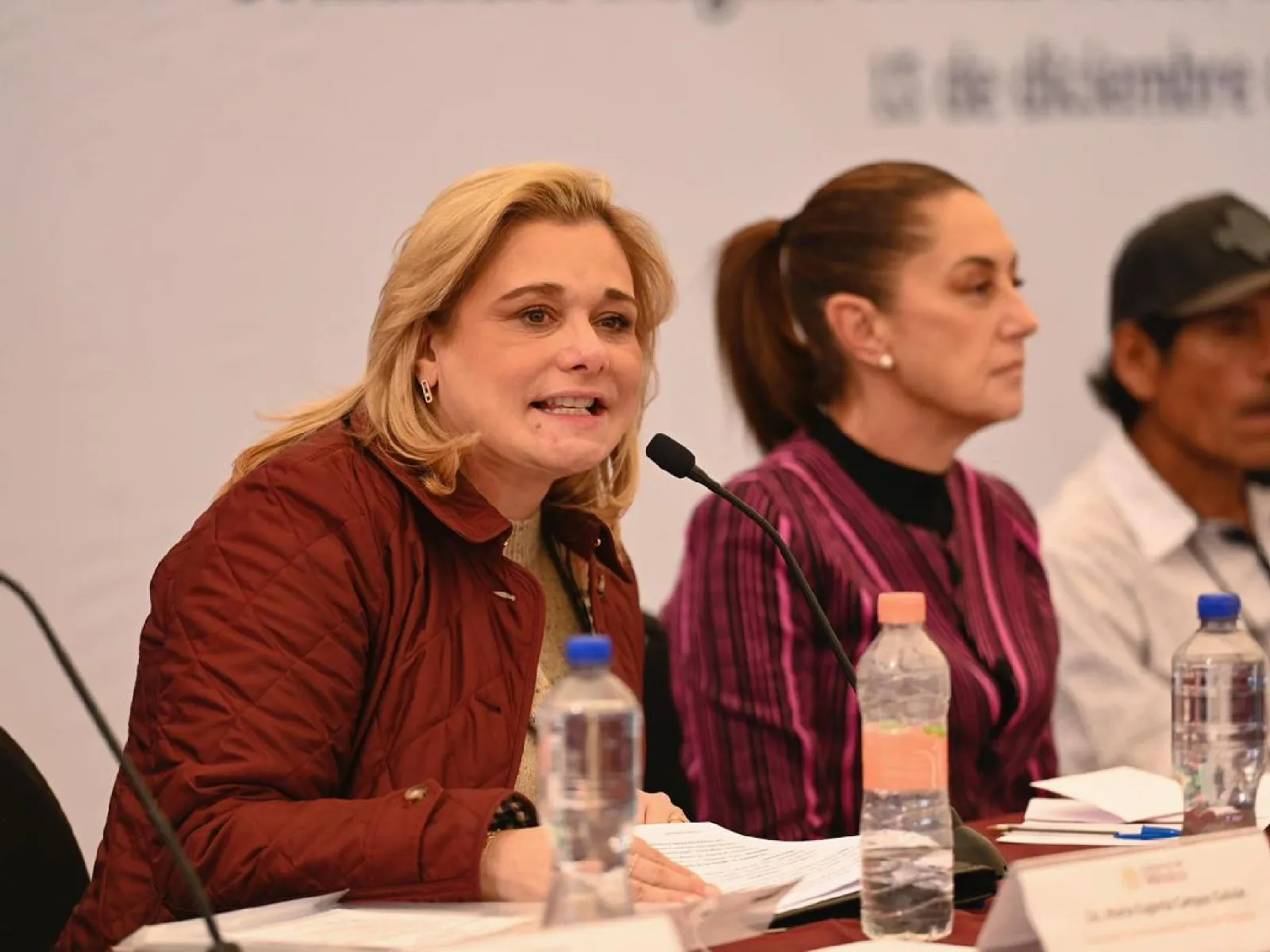 Persecución política, acusa el PAN por citatorio de la FGR a Maru ...