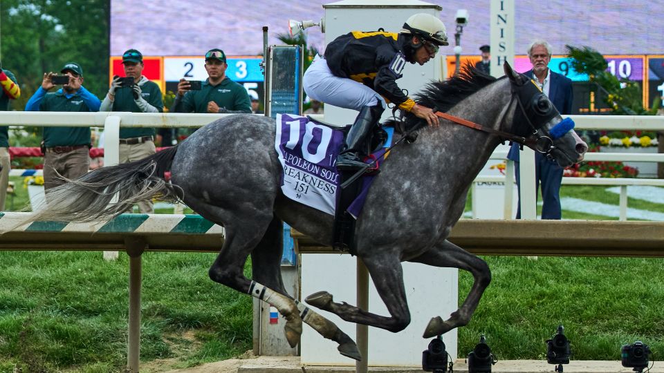 Napoleon Solo wins the Preakness Stakes in a come-from-behind victory