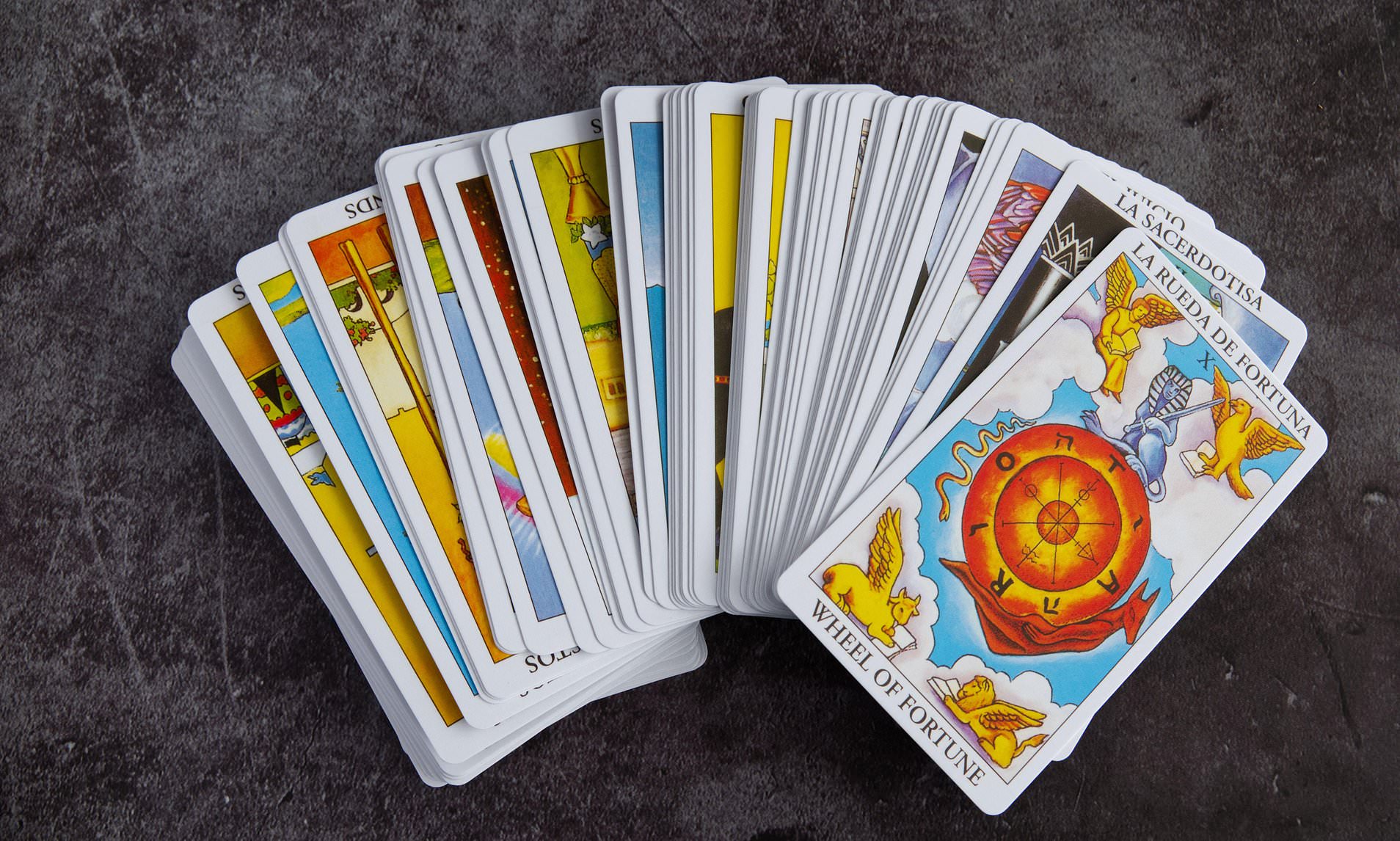 Government careers advisers offer job seekers a short course in tarot ...