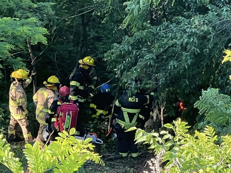 Driver plummets 200 feet off Blue Ridge Parkway, firefighters come to ...