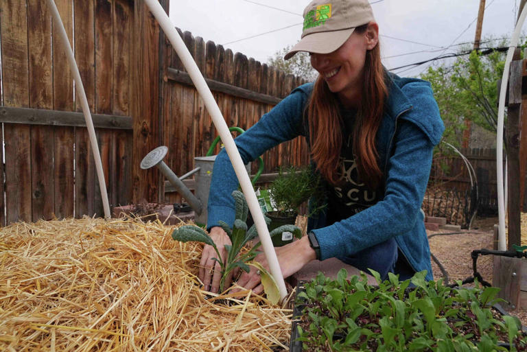 Growing your own food with less water, even in a drought