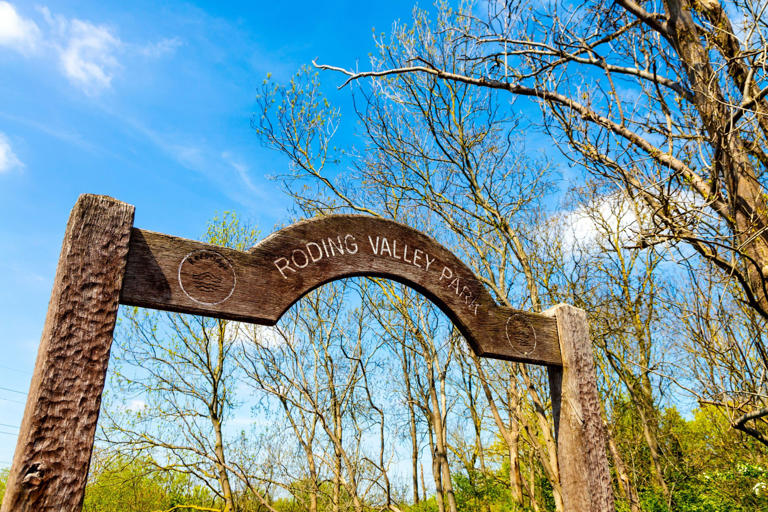 Londoners are flocking to 'green and leafy' South Woodford over its ...