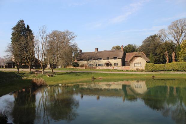 Dorset's highest village hides a quiet woodland walk with sweeping ...
