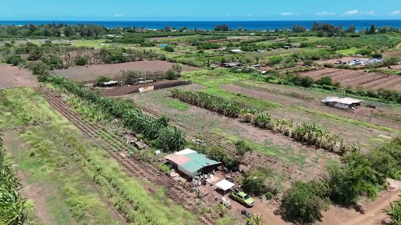 Small farmers in a bind after Hawaii's worst flooding in 20 years