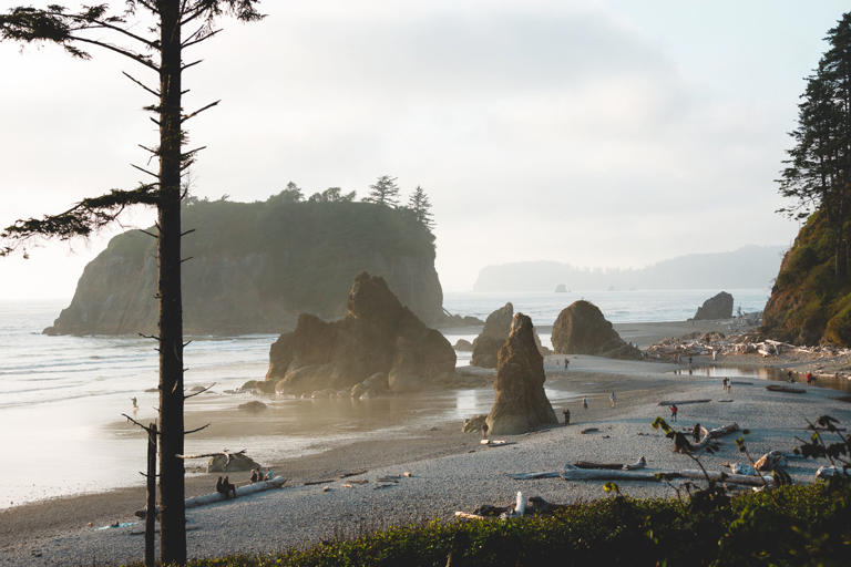 Ruby Beach is a quarter-mile walk from the parking lot, and it comes ...