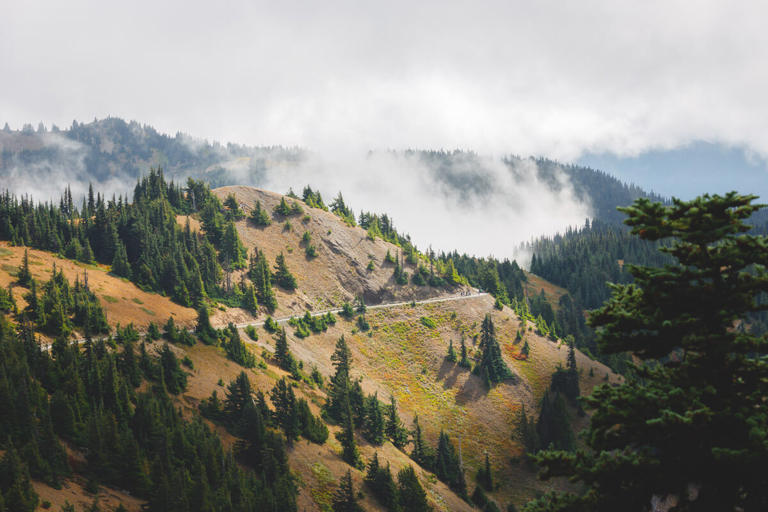 Hurricane Ridge sits at 5,242 feet, and in winter the road up is open ...