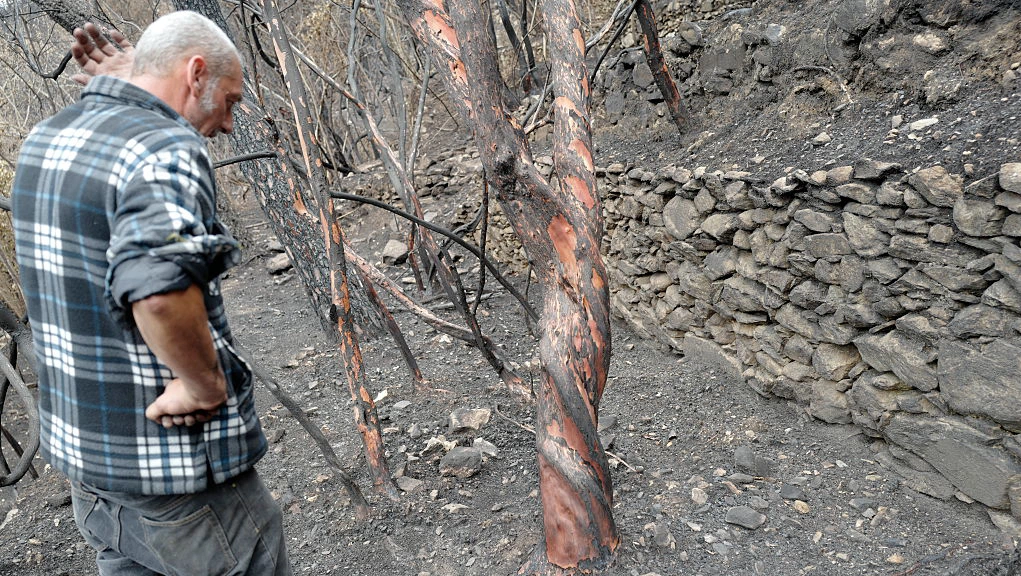 Seven Cabins Fire grows to 2,645 acres with no containment