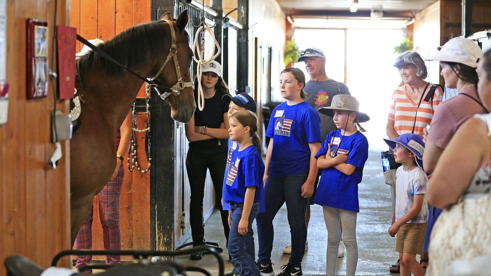 Free horseback riding lessons offered at Oakwood Stables in Martinsville