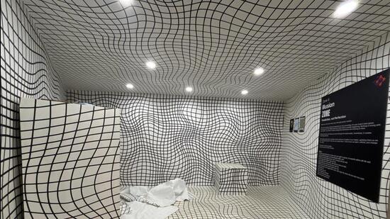 Exhibition explores link between art, neuroscience & perception