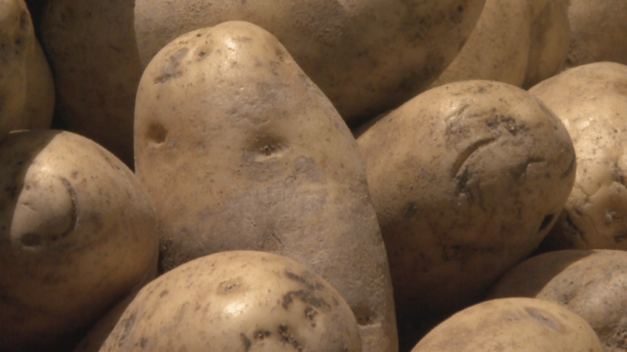 Hungry crowds enjoy plenty of potatos at Less Haters More Taters Potato ...