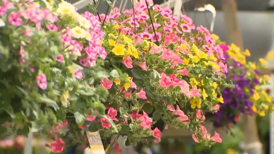 Here's what you should be planting this time of year